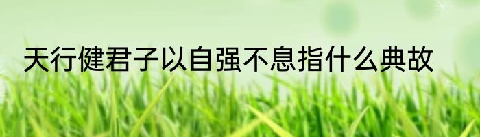 天行健君子以自强不息指什么典故