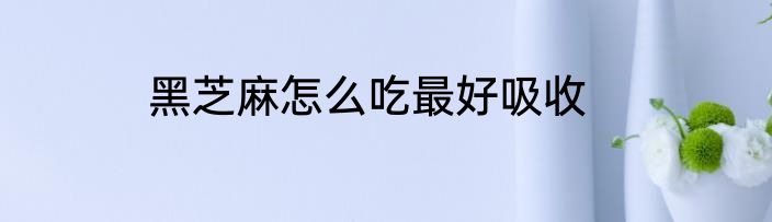 黑芝麻怎么吃最好吸收