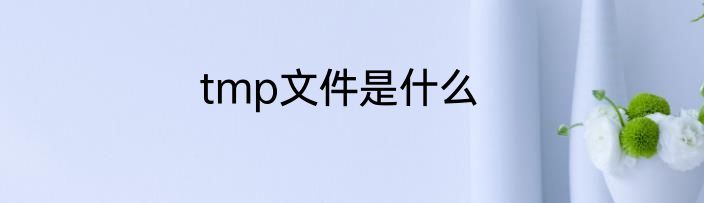 tmp文件是什么