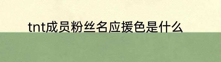 tnt成员粉丝名应援色是什么