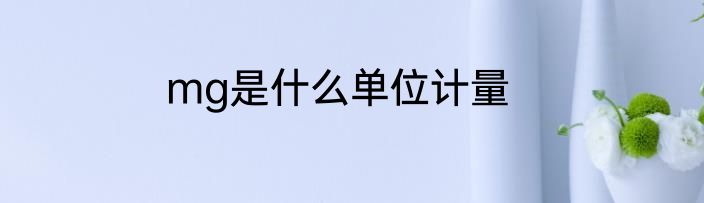 mg是什么单位计量