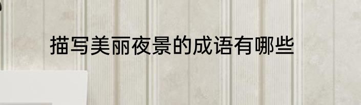 描写美丽夜景的成语有哪些