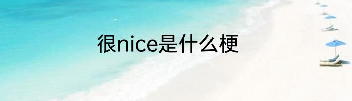 很nice是什么梗