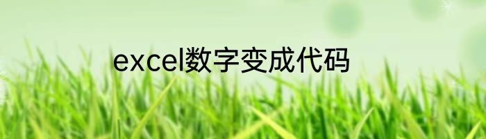 excel数字变成代码