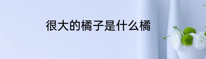 很大的橘子是什么橘