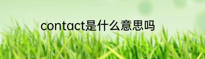 contact是什么意思吗