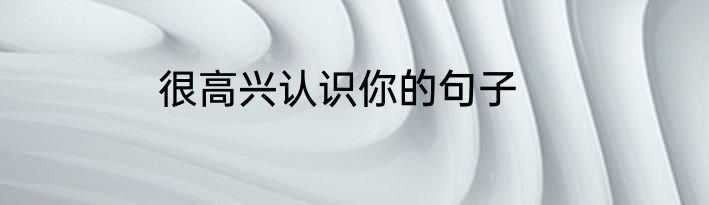 很高兴认识你的句子