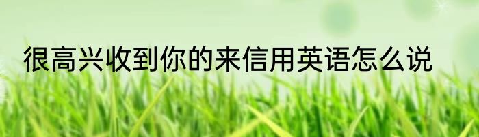 很高兴收到你的来信用英语怎么说