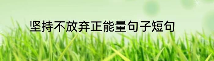坚持不放弃正能量句子短句