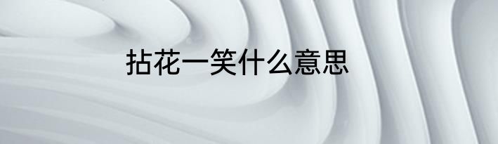 拈花一笑什么意思