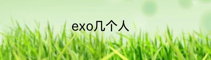 exo几个人