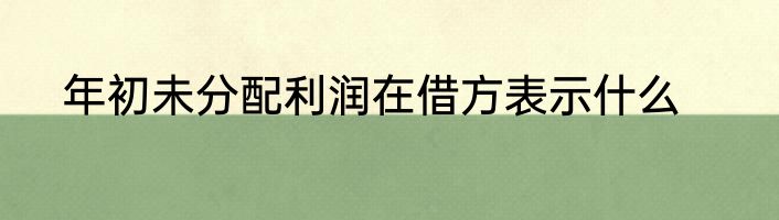 年初未分配利润在借方表示什么