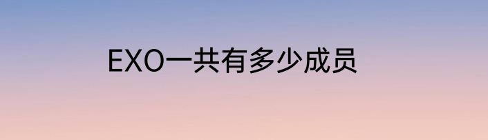 EXO一共有多少成员