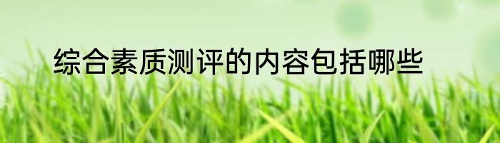 综合素质测评的内容包括哪些