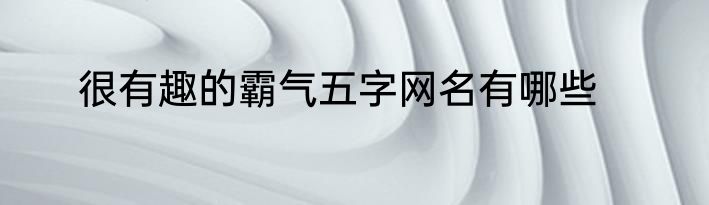很有趣的霸气五字网名有哪些