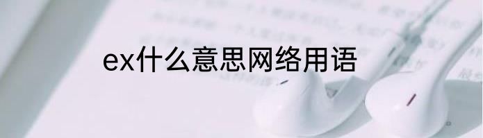 ex什么意思网络用语