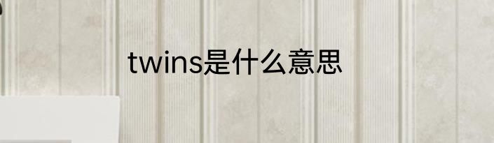 twins是什么意思