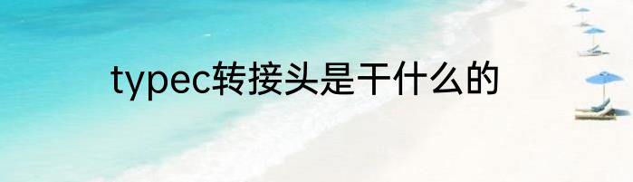 typec转接头是干什么的