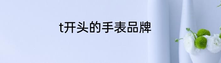 t开头的手表品牌