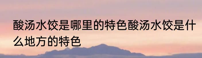酸汤水饺是哪里的特色酸汤水饺是什么地方的特色