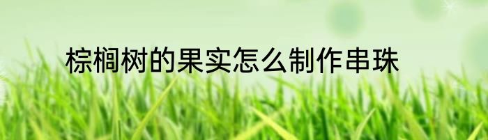 棕榈树的果实怎么制作串珠