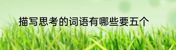 描写思考的词语有哪些要五个