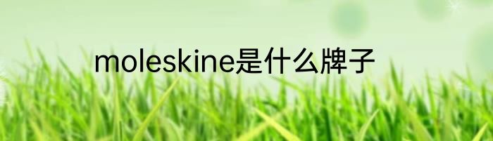 moleskine是什么牌子
