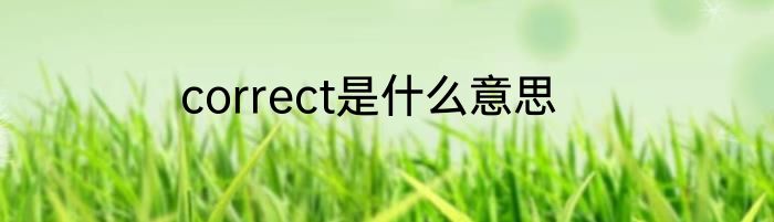 correct是什么意思
