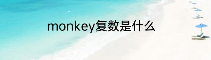 monkey复数是什么