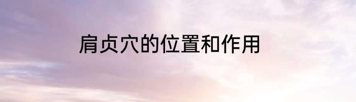 肩贞穴的位置和作用