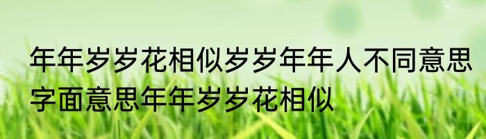 年年岁岁花相似岁岁年年人不同意思字面意思年年岁岁花相似