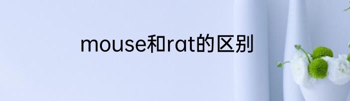mouse和rat的区别