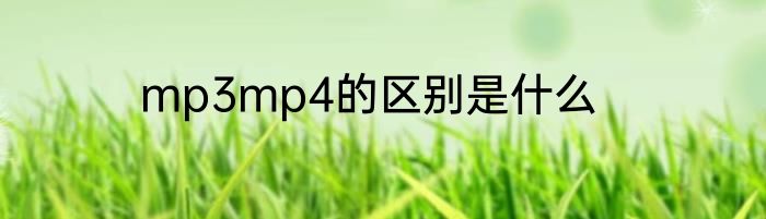 mp3mp4的区别是什么