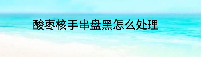酸枣核手串盘黑怎么处理