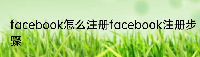 facebook怎么注册facebook注册步骤