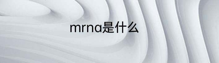 mrna是什么