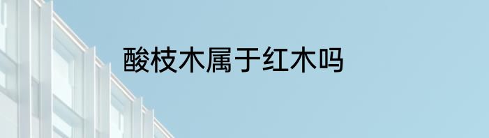 酸枝木属于红木吗
