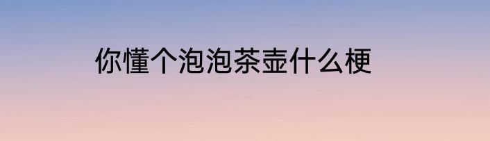 你懂个泡泡茶壶什么梗