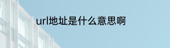 url地址是什么意思啊