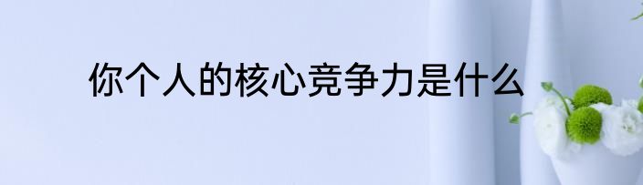 你个人的核心竞争力是什么