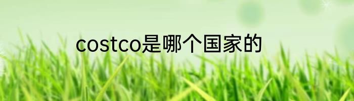 costco是哪个国家的