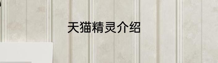 天猫精灵介绍