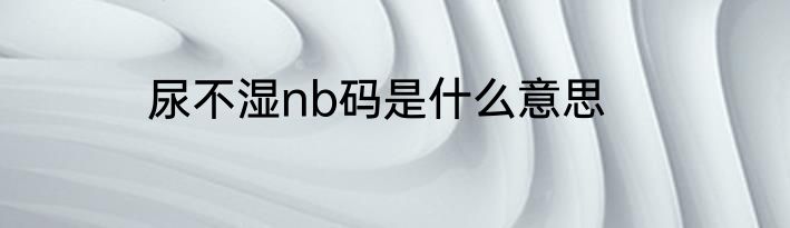 尿不湿nb码是什么意思