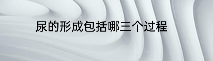 尿的形成包括哪三个过程