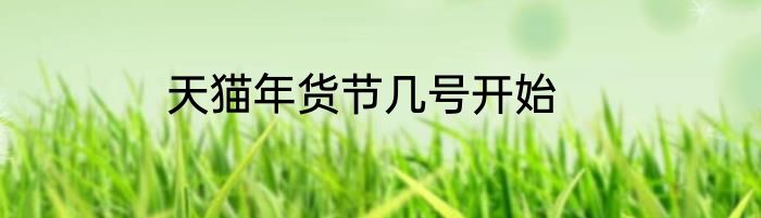 天猫年货节几号开始