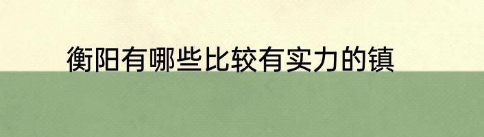 衡阳有哪些比较有实力的镇