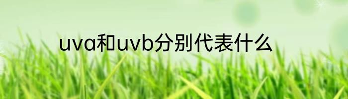 uva和uvb分别代表什么
