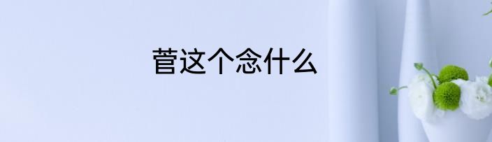 菅这个念什么