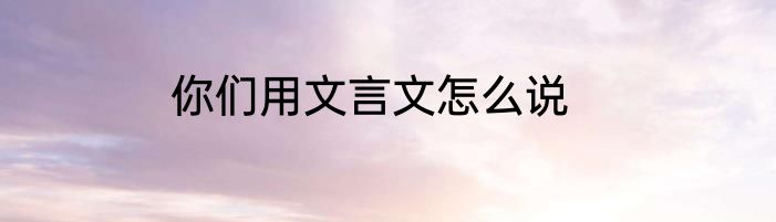 你们用文言文怎么说