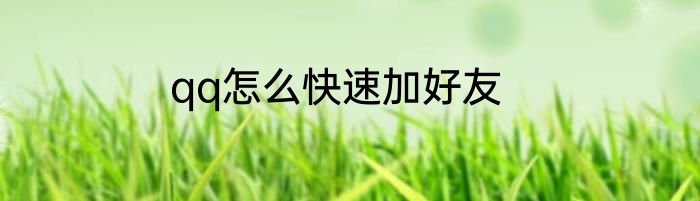 qq怎么快速加好友